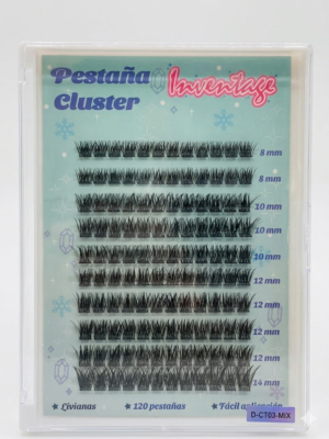 Pestañas Cluster Inventyz 1